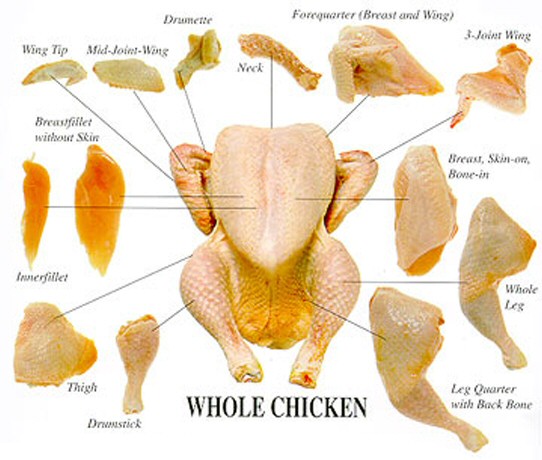 Diagram showing different cuts of chicken