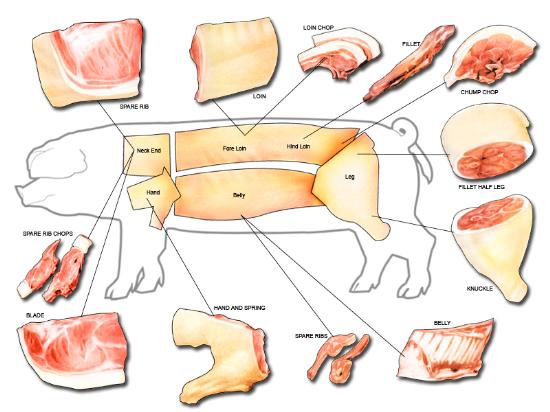 Diagram of different types of pork cuts